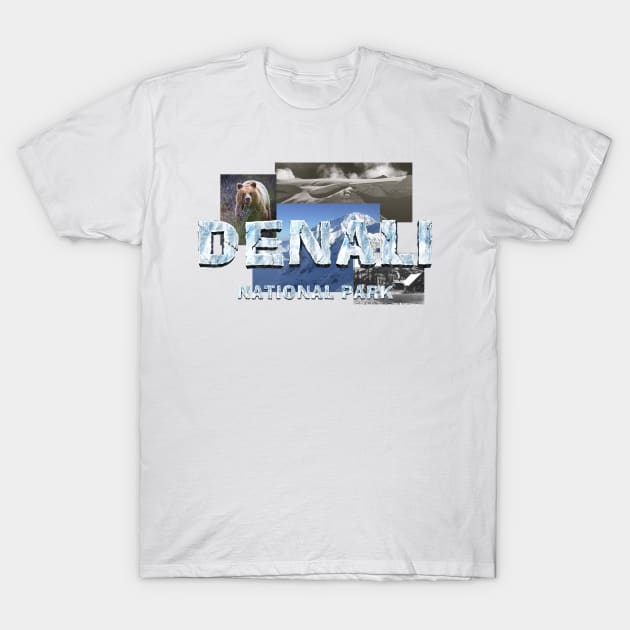 Denali National Park T-Shirt by teepossible